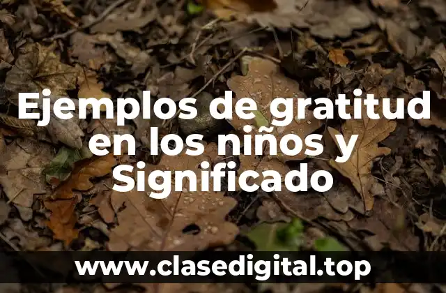 Ejemplos de gratitud en los niños y Significado