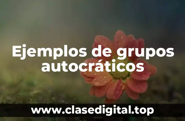 Ejemplos de grupos autocráticos