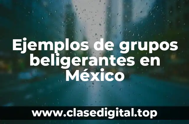 Ejemplos de grupos beligerantes en México