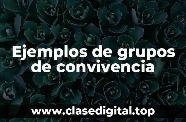 Ejemplos de grupos de convivencia