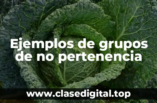 Ejemplos de grupos de no pertenencia