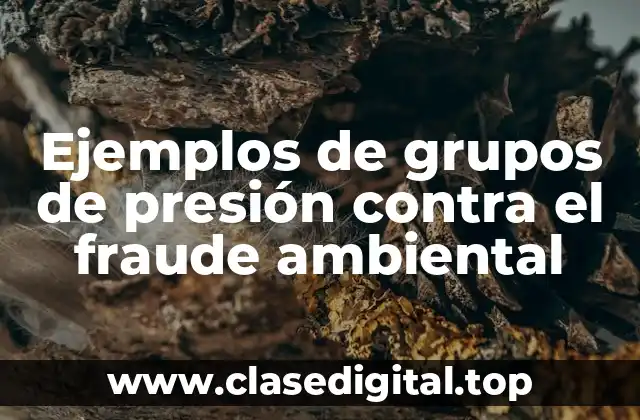 Ejemplos de grupos de presión contra el fraude ambiental