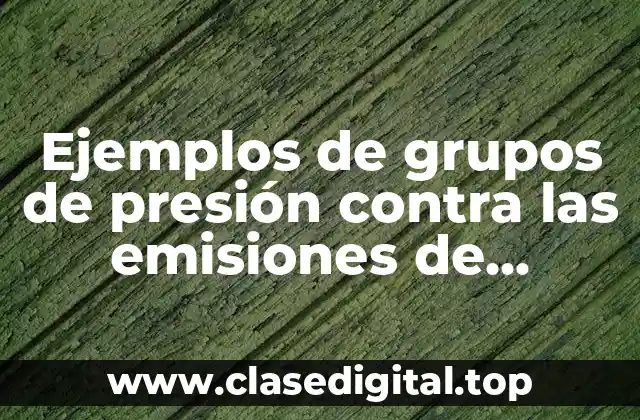 Ejemplos de grupos de presión contra las emisiones de Volkswagen