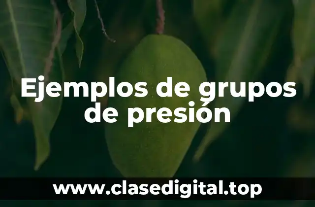 Ejemplos de grupos de presión