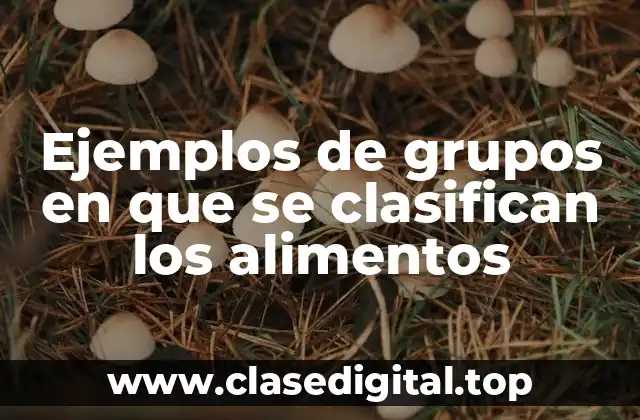 Ejemplos de grupos en que se clasifican los alimentos