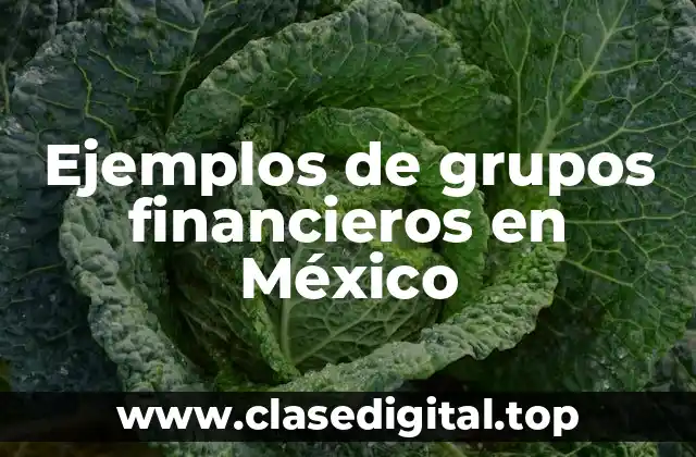 Ejemplos de grupos financieros en México