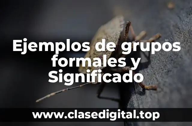 Ejemplos de grupos formales y Significado