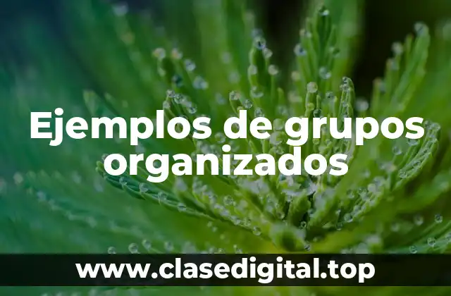 Ejemplos de grupos organizados