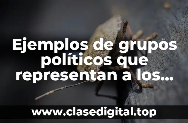 Ejemplos de grupos políticos que representan a los indígenas y Significado