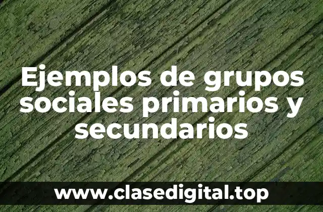 Ejemplos de grupos sociales primarios y secundarios