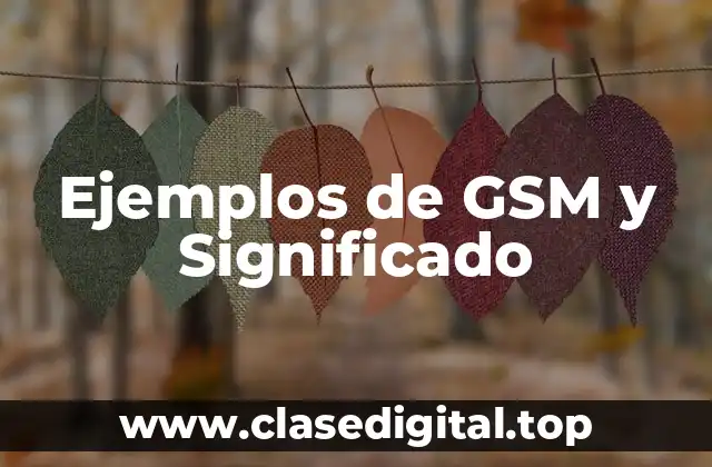 Ejemplos de GSM y Significado