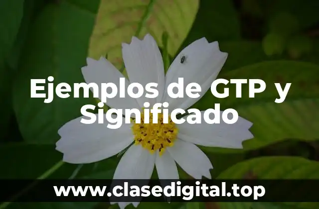 Ejemplos de GTP