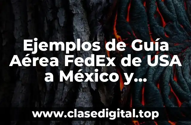 Ejemplos de Guía Aérea FedEx de USA a México y Significado
