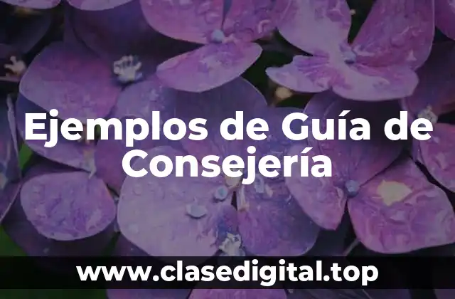 Ejemplos de Guía de Consejería