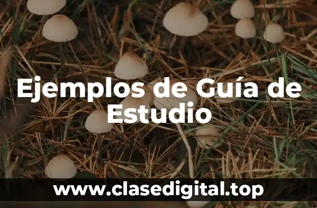 Ejemplos de Guía de Estudio