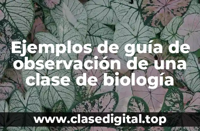 Ejemplos de guía de observación de una clase de biología
