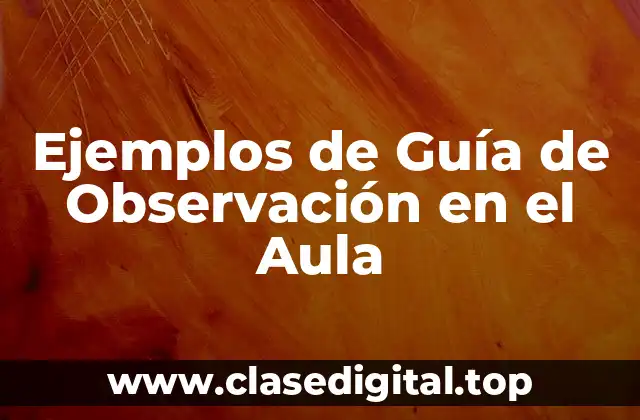 Ejemplos de Guía de Observación en el Aula