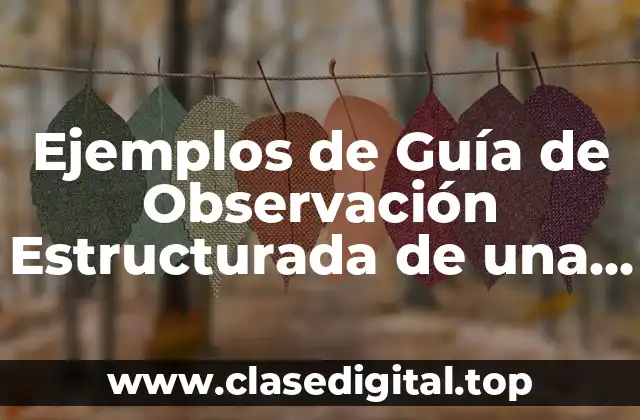 Ejemplos de Guía de Observación Estructurada de una Empresa