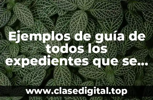 Ejemplos de guía de todos los expedientes que se tienen