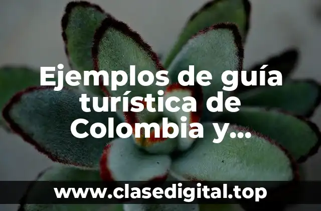 Ejemplos de guía turística de Colombia y Significado