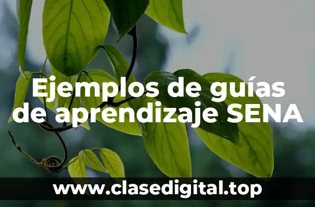 Ejemplos de guías de aprendizaje SENA