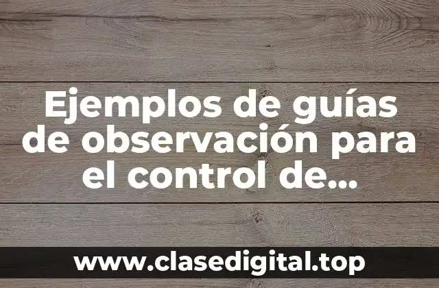 Ejemplos de guías de observación para el control de inventarios