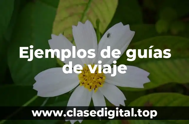 Ejemplos de guías de viaje