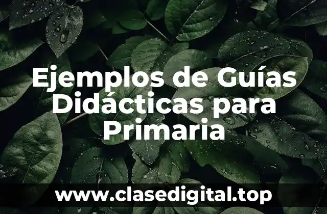 Ejemplos de Guías Didácticas para Primaria