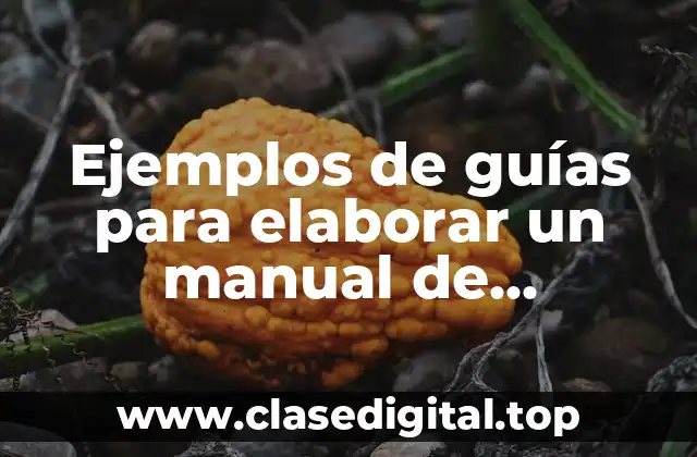 Ejemplos de guías para elaborar un manual de organización y Significado