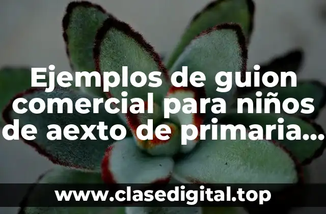 Ejemplos de guion comercial para niños de aexto de primaria y Significado