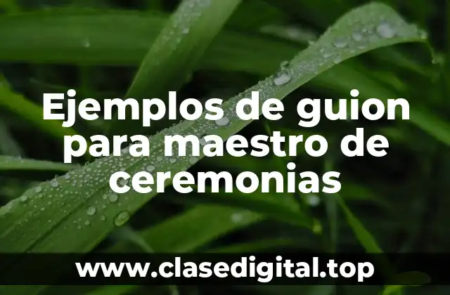 Ejemplos de guion para maestro de ceremonias