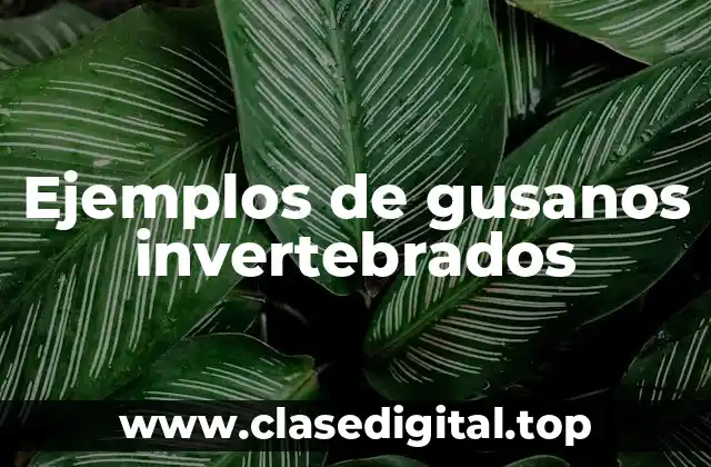 Ejemplos de gusanos invertebrados