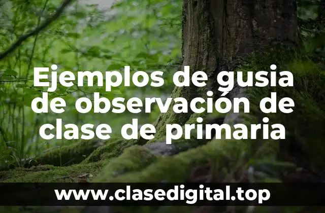 Ejemplos de gusia de observación de clase de primaria