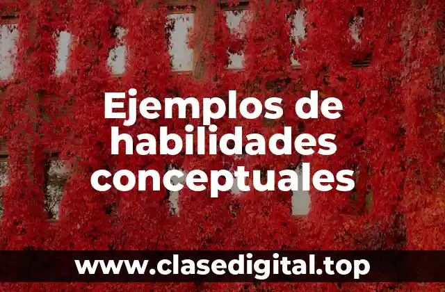 Ejemplos de habilidades conceptuales