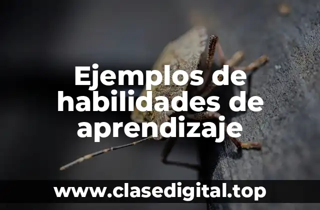 Ejemplos de habilidades de aprendizaje