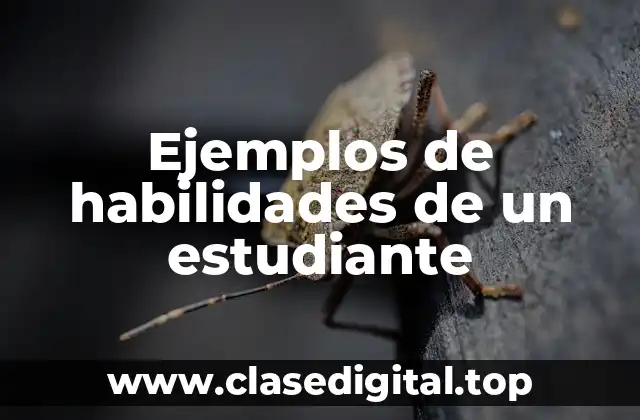 Ejemplos de habilidades de un estudiante