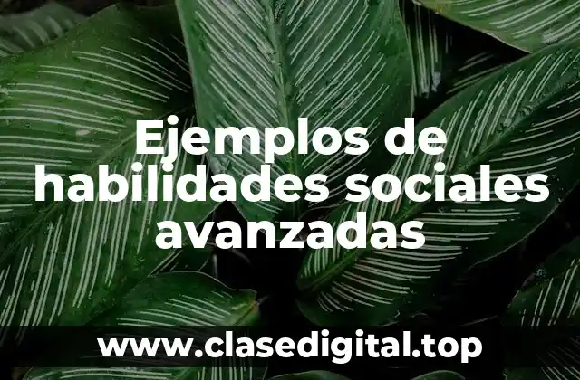 Ejemplos de habilidades sociales avanzadas