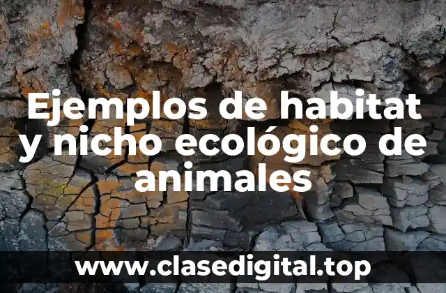 Ejemplos de habitat y nicho ecológico de animales