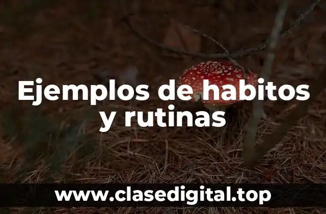 Ejemplos de hábitos y rutinas