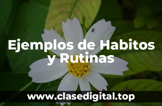 Ejemplos de Hábitos y Rutinas