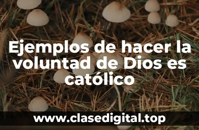 Ejemplos de hacer la voluntad de Dios es católico