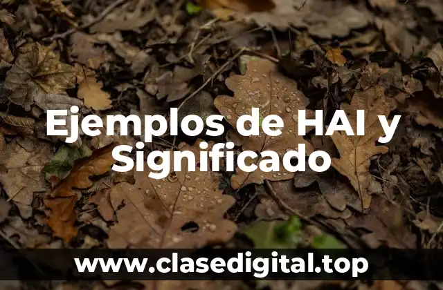 Ejemplos de HAI