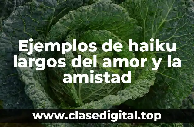 Ejemplos de haiku largos del amor y la amistad