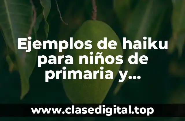 Ejemplos de haiku para niños de primaria y Significado
