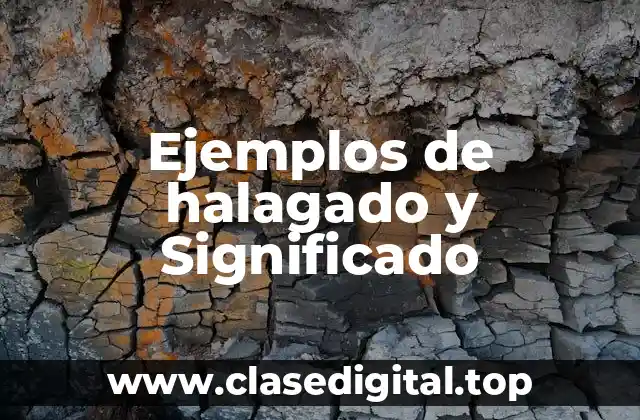 Ejemplos de halagado y Significado
