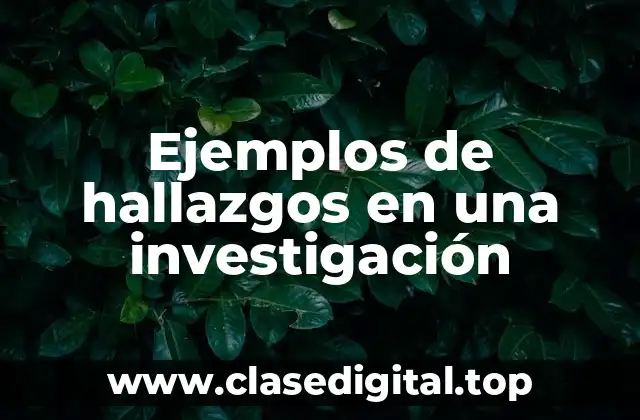 Ejemplos de hallazgos en una investigación