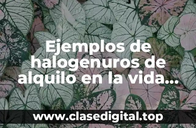 Ejemplos de halogenuros de alquilo en la vida cotidiana