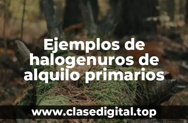 Ejemplos de halogenuros de alquilo primarios