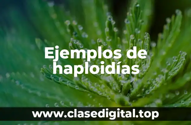 Ejemplos de haploidías