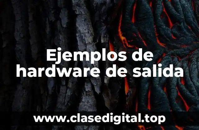 Ejemplos de hardware de salida